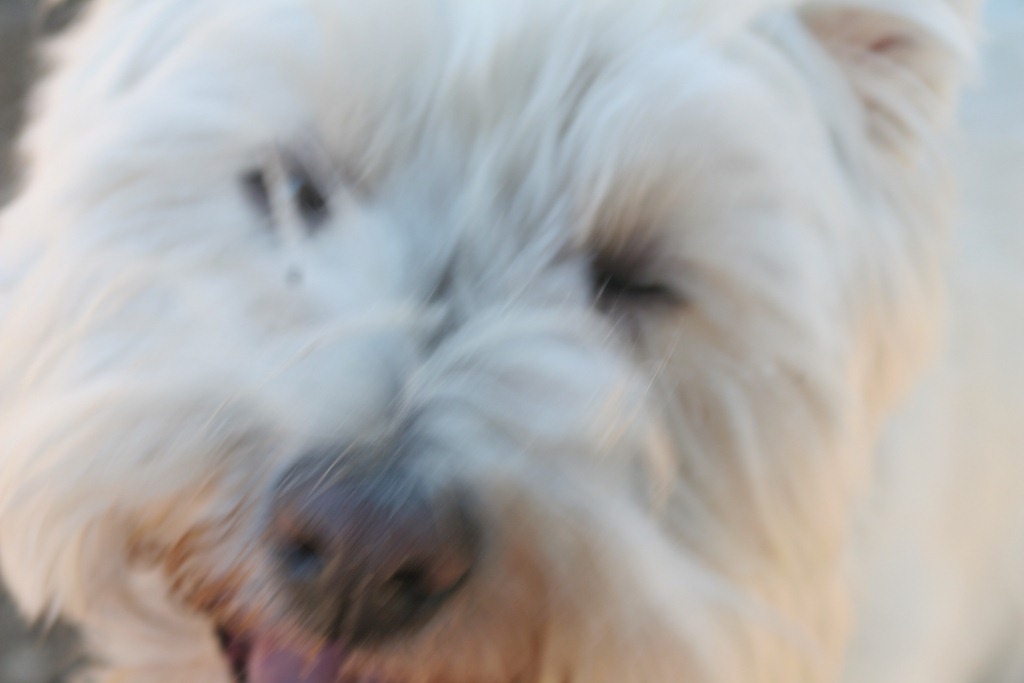 [Fuzzy Gus[3].jpg]