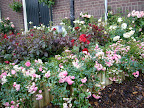 The rose festival 2010.