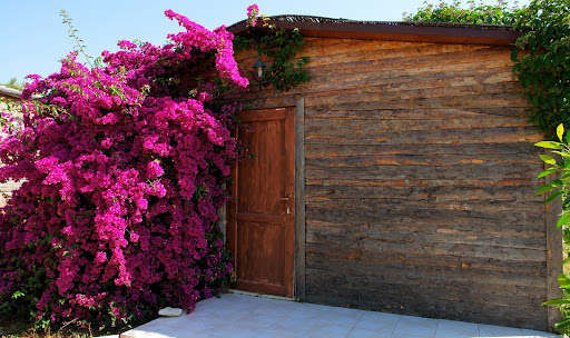 iek Resimleri (5 Katalog)