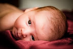2009-08-19-William_www.alainvasquez.com_photography_william&isabella.jpg