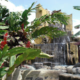 CIMG0827.JPG