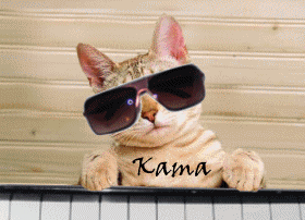 gatito_pianista gatito_pianista