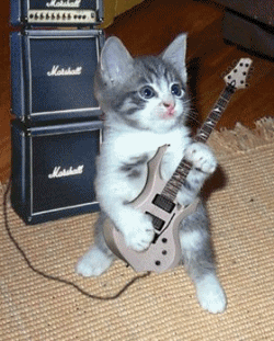 GATO_GUITARRA GATO_GUITARRA