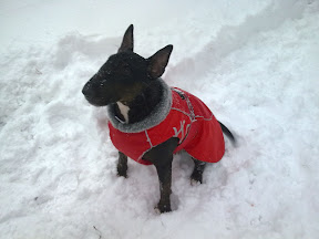 [Image: Kuva0536.jpg]