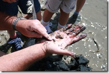 IMG_3377 IMG_3377