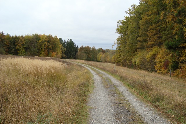 [ardennen herfst 2009 034[2].jpg]