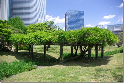 2010-05-15 Hamarikyu Gardens for Posting (11) 2010-05-15 Hamarikyu Gardens for Posting (11)