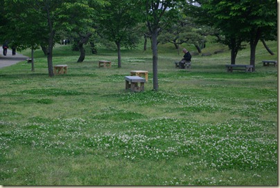 2010-05-15 Hamarikyu Gardens for Posting (21)
