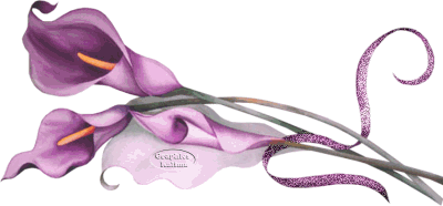 PURPLEDIVIDERFLOWER PURPLEDIVIDERFLOWER