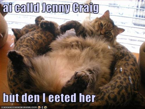 [funny-pictures-cat-ai-calld-jenny-craig[4].jpg]