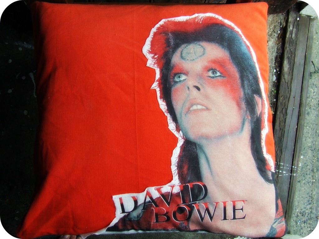 [Bowie2[5].jpg]
