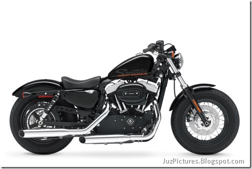 2010 Harley-Davidson Forty-Eight-9
