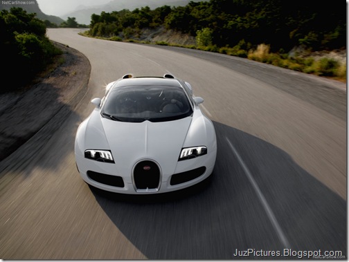 Bugatti-Veyron_Grand_Sport_3