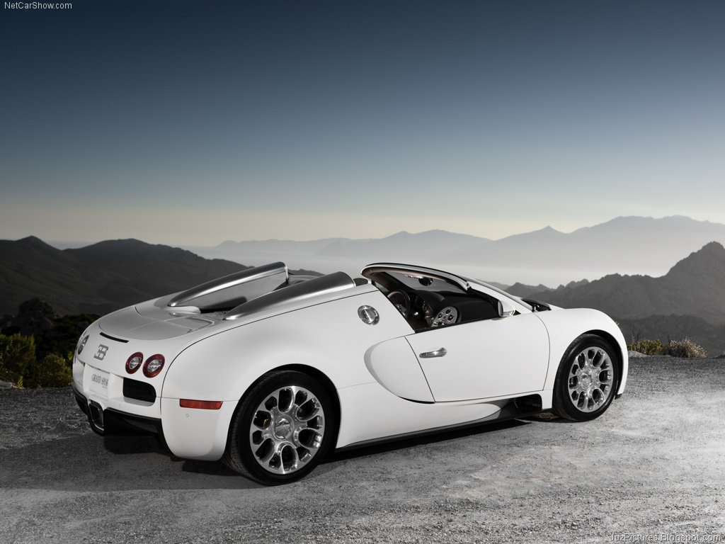 [BugattiVeyron_Grand_Sport3.jpg]