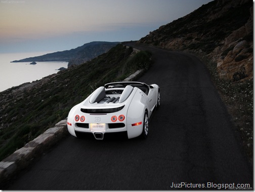 Bugatti-Veyron_Grand_Sport_2