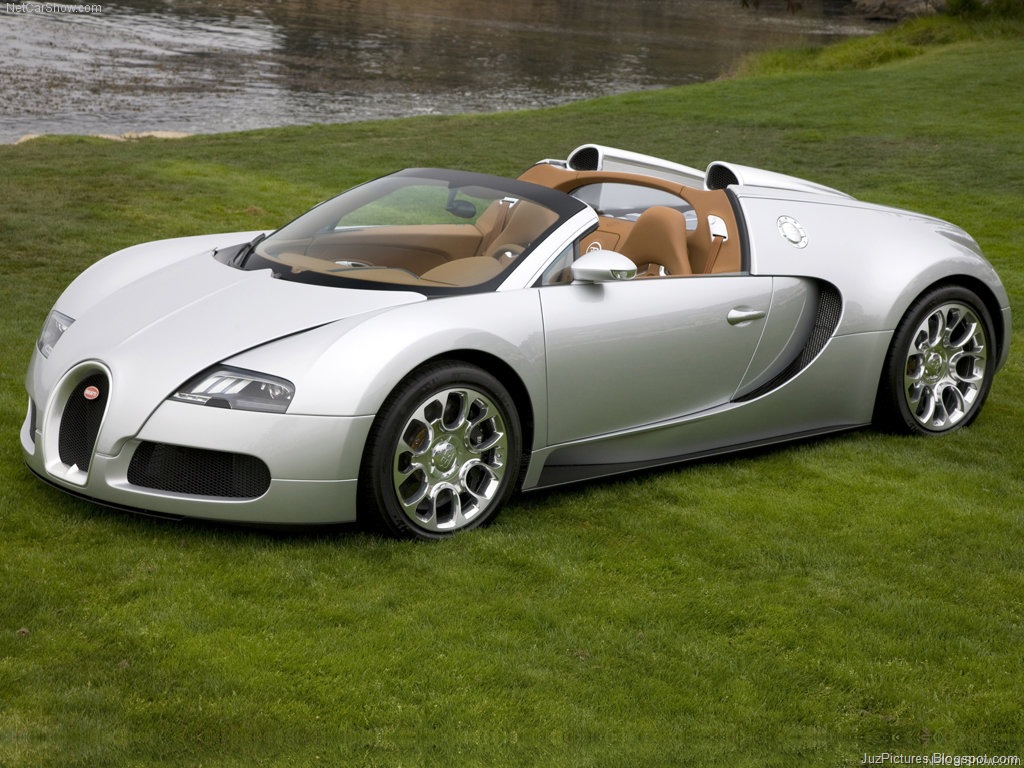 [BugattiVeyron_Grand_Sport_73.jpg]