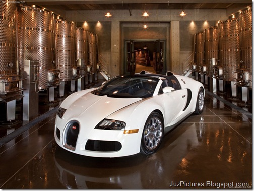Bugatti-Veyron_Grand_Sport_8