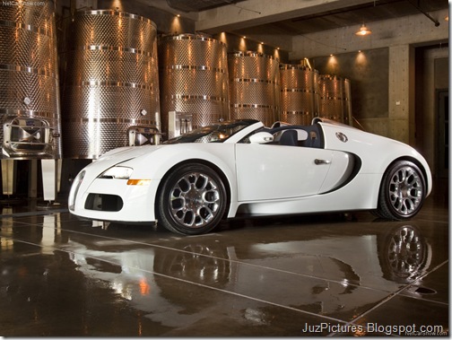 Bugatti-Veyron_Grand_Sport_14