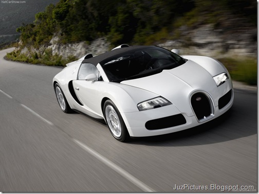 Bugatti-Veyron_Grand_Sport_15