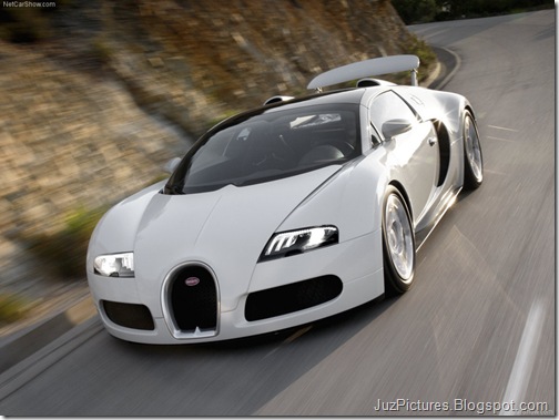 Bugatti-Veyron_Grand_Sport_16