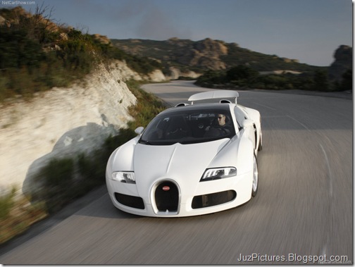 Bugatti-Veyron_Grand_Sport_17