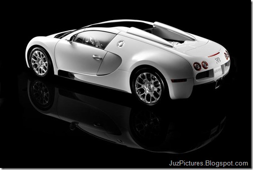 Bugatti-Veyron_Grand_Sport_32