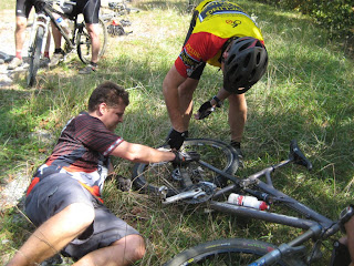 Tweety can fix a bike, but he has to be comfy while he does it.