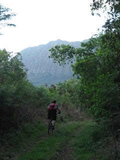 heading back down Maunawili