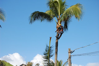 Jobs in Paradise
