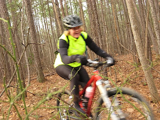 Robin riding thru the briars Robin riding thru the briars