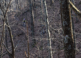 How many cyclists can you find in this pic?