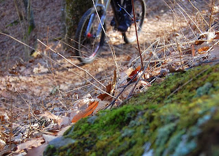 Georgia singletrack
