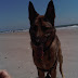 IMG00218-20100608-1144.jpg