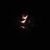A campfire to end the night