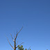 The moon was out at Mather Point