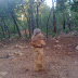 We made our own rock formations