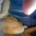 Still Life with Butt