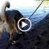 Rainah & Rikka drinking out of the lake