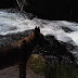 Rikka by the rapids
