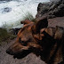 Rainah by the rapids