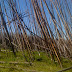 Scenery (Leaving Yellowstone NP through the East Entrance)