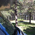 At the dump station at Chutes Prov. Park
