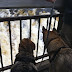 Rikka & Rainah watch the falls