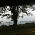 The view from our RV in Site #69