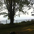 The fire ring and Lake Ontario