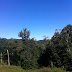 Scenery on the Drive - Highland Scenic Highway