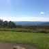 Scenery on the Drive - Highland Scenic Highway