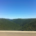 Scenery on the Drive