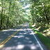 Scenery on the Drive