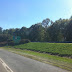 North Carolina State Line